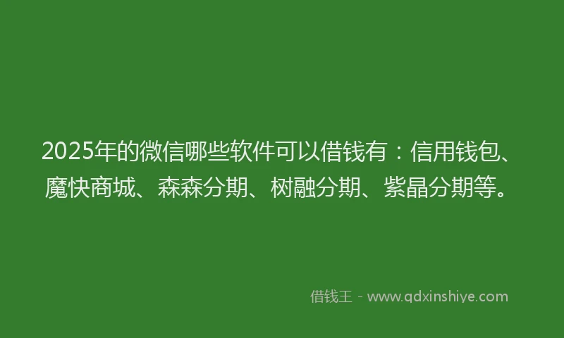 2025年的微信哪些软件可以借钱有：信用钱包、魔快商城、森森分期、树融分期、紫晶分期等。