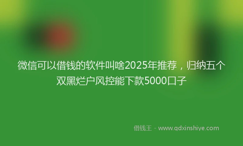 微信可以借钱的软件叫啥2025年推荐，归纳五个双黑烂户风控能下款5000口子