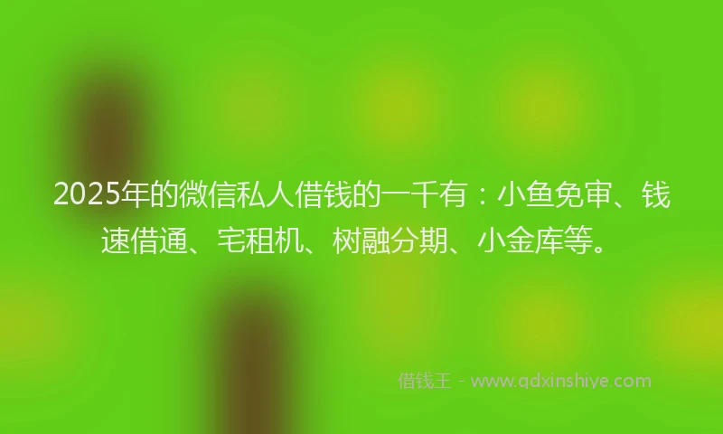 2025年的微信私人借钱的一千有：小鱼免审、钱速借通、宅租机、树融分期、小金库等。