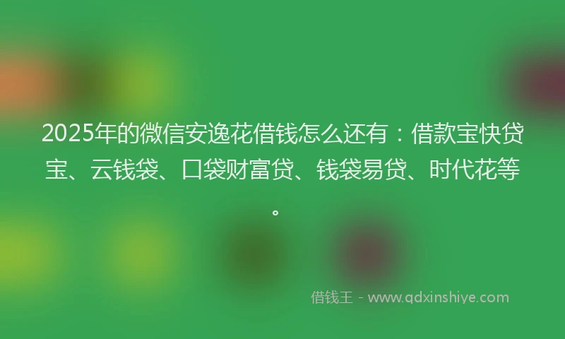 2025年的微信安逸花借钱怎么还有：借款宝快贷宝、云钱袋、口袋财富贷、钱袋易贷、时代花等。