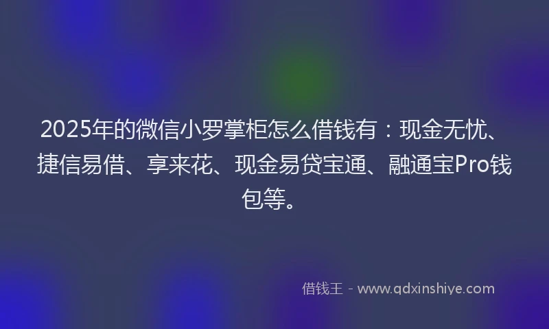 2025年的微信小罗掌柜怎么借钱有：现金无忧、捷信易借、享来花、现金易贷宝通、融通宝Pro钱包等。