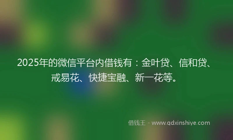 2025年的微信平台内借钱有：金叶贷、信和贷、戒易花、快捷宝融、新一花等。