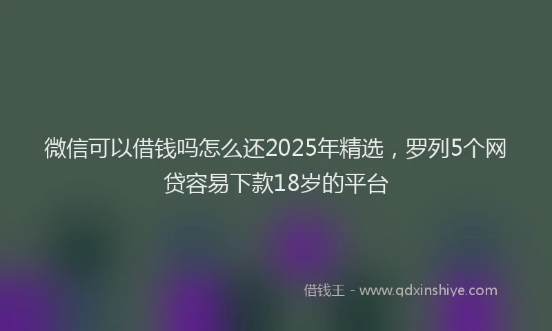 微信可以借钱吗怎么还2025年精选，罗列5个网贷容易下款18岁的平台