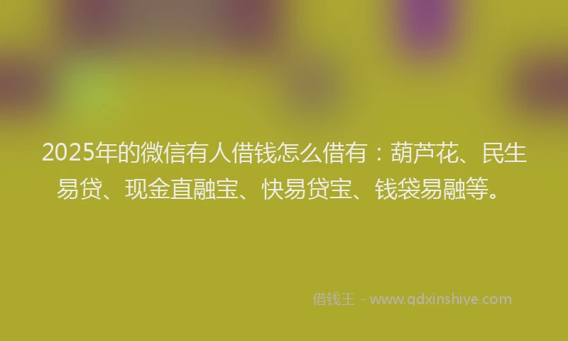2025年的微信有人借钱怎么借有：葫芦花、民生易贷、现金直融宝、快易贷宝、钱袋易融等。
