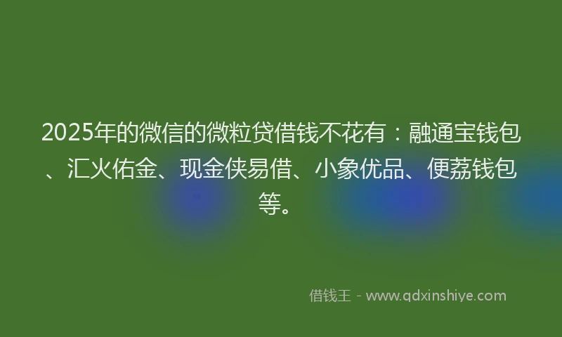 2025年的微信的微粒贷借钱不花有：融通宝钱包、汇火佑金、现金侠易借、小象优品、便荔钱包等。