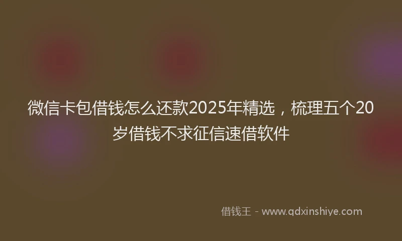 微信卡包借钱怎么还款2025年精选，梳理五个20岁借钱不求征信速借软件