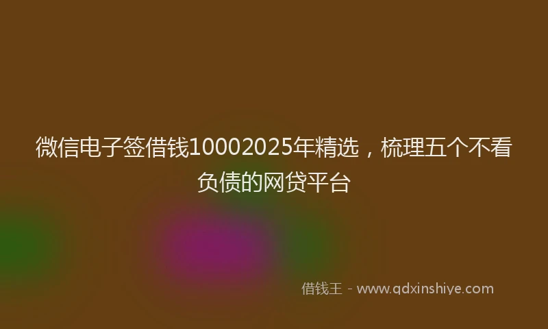 微信电子签借钱10002025年精选，梳理五个不看负债的网贷平台
