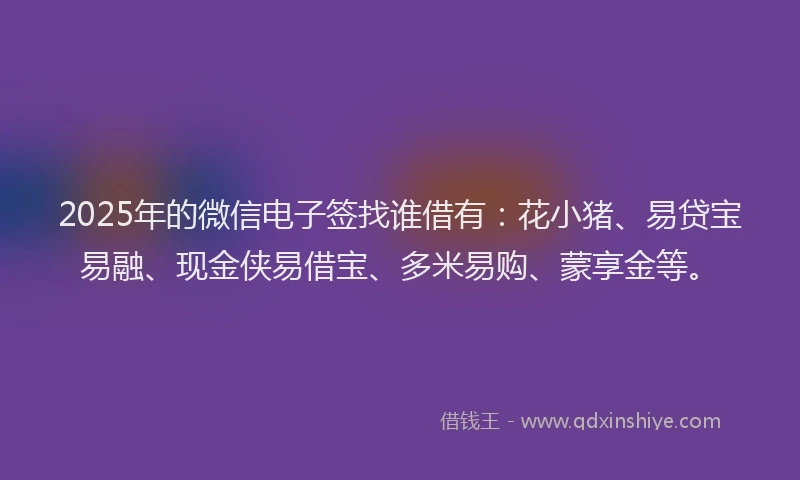 2025年的微信电子签找谁借有：花小猪、易贷宝易融、现金侠易借宝、多米易购、蒙享金等。