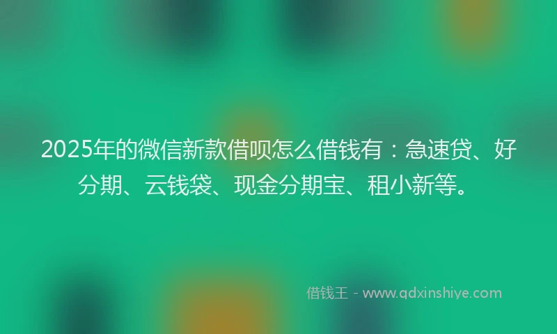 2025年的微信新款借呗怎么借钱有：急速贷、好分期、云钱袋、现金分期宝、租小新等。