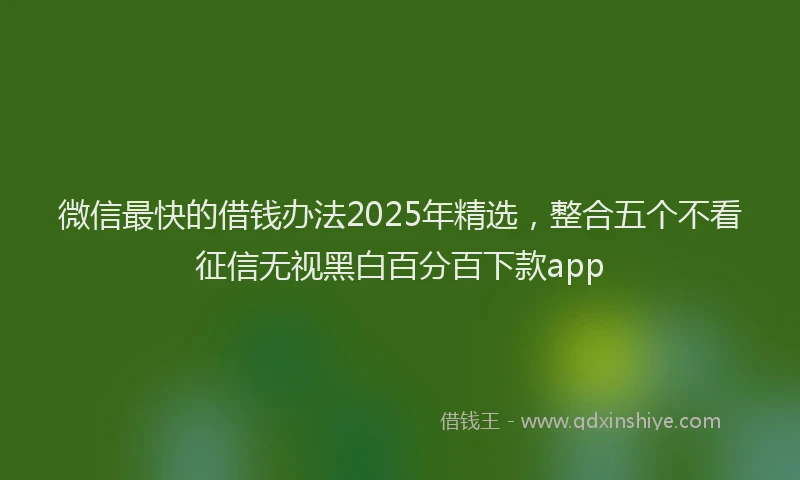 微信最快的借钱办法2025年精选，整合五个不看征信无视黑白百分百下款app