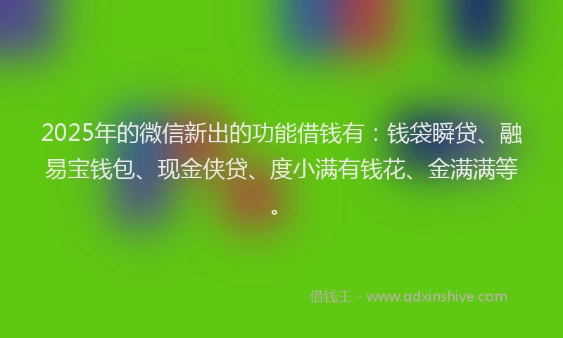 2025年的微信新出的功能借钱有：钱袋瞬贷、融易宝钱包、现金侠贷、度小满有钱花、金满满等。