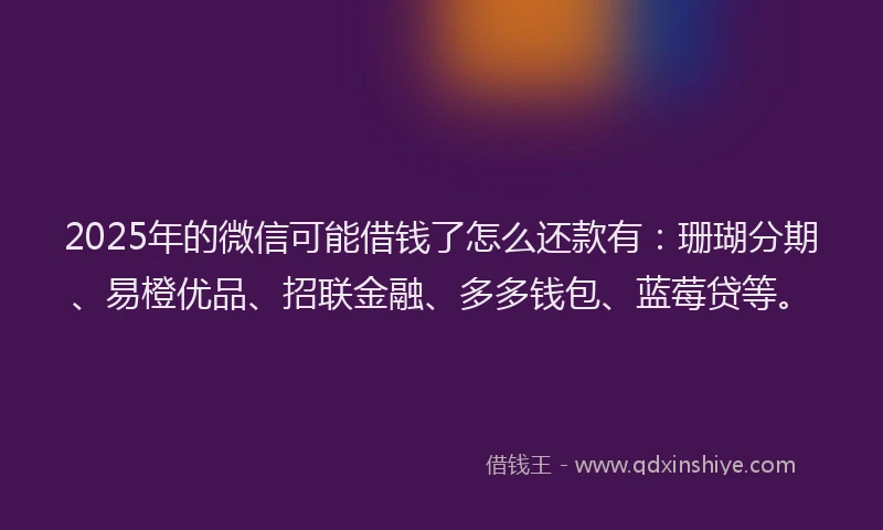 2025年的微信可能借钱了怎么还款有：珊瑚分期、易橙优品、招联金融、多多钱包、蓝莓贷等。