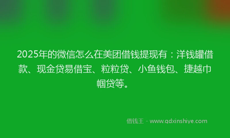 2025年的微信怎么在美团借钱提现有：洋钱罐借款、现金贷易借宝、粒粒贷、小鱼钱包、捷越巾帼贷等。