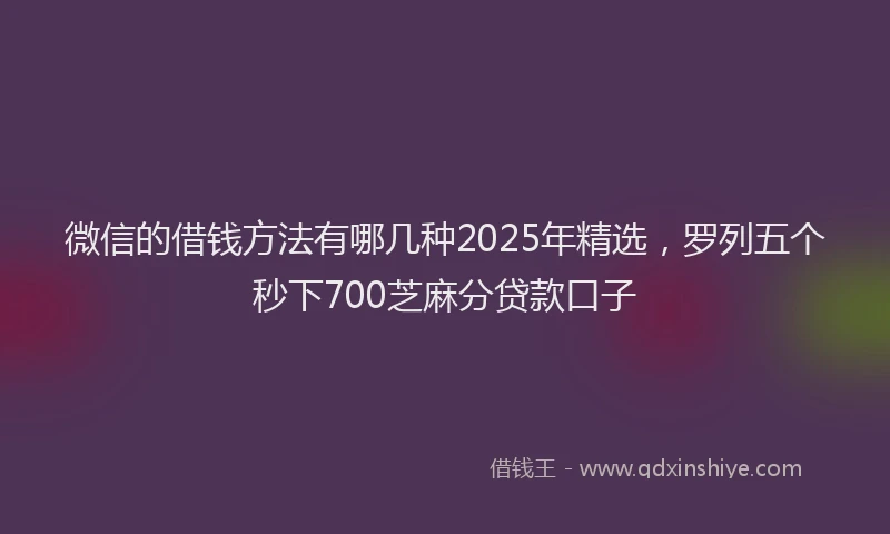 微信的借钱方法有哪几种2025年精选，罗列五个秒下700芝麻分贷款口子