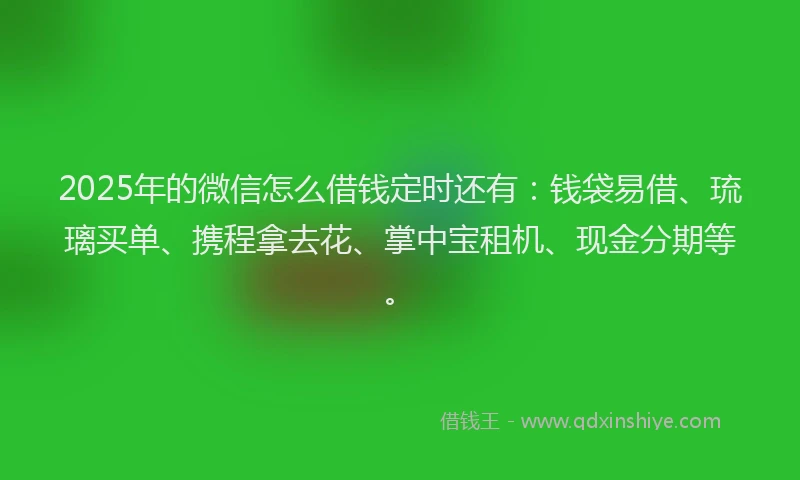 2025年的微信怎么借钱定时还有：钱袋易借、琉璃买单、携程拿去花、掌中宝租机、现金分期等。