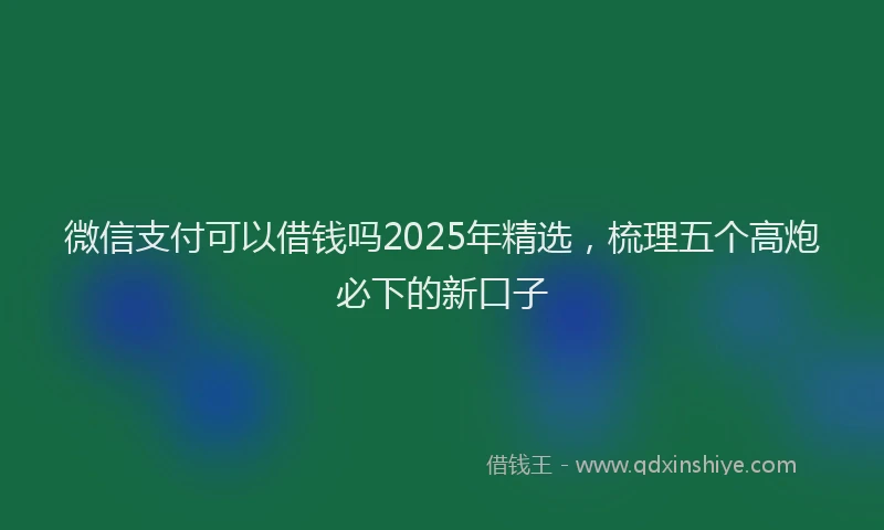 微信支付可以借钱吗2025年精选，梳理五个高炮必下的新口子