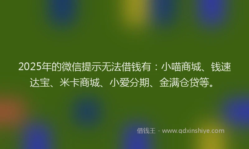 2025年的微信提示无法借钱有：小喵商城、钱速达宝、米卡商城、小爱分期、金满仓贷等。