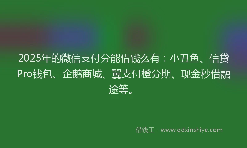 2025年的微信支付分能借钱么有：小丑鱼、信贷Pro钱包、企鹅商城、翼支付橙分期、现金秒借融途等。