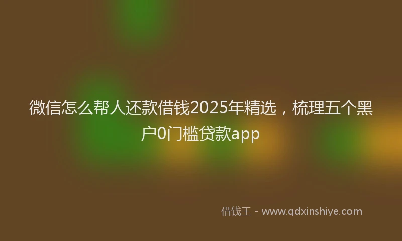 微信怎么帮人还款借钱2025年精选，梳理五个黑户0门槛贷款app