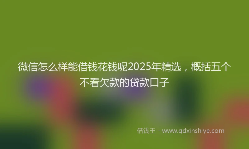 微信怎么样能借钱花钱呢2025年精选，概括五个不看欠款的贷款口子