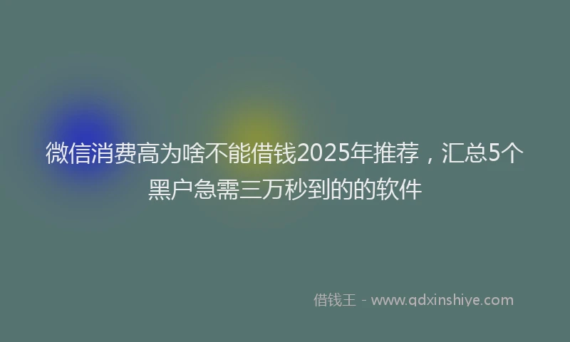 微信消费高为啥不能借钱2025年推荐，汇总5个黑户急需三万秒到的的软件