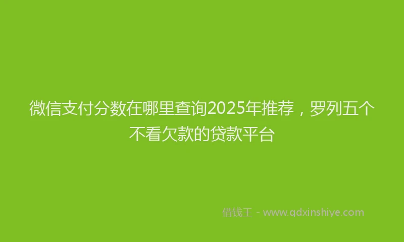 微信支付分数在哪里查询2025年推荐，罗列五个不看欠款的贷款平台
