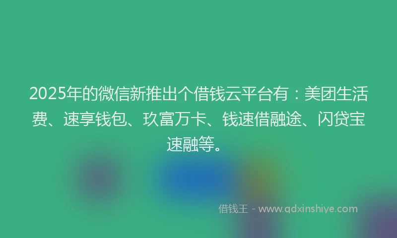 2025年的微信新推出个借钱云平台有：美团生活费、速享钱包、玖富万卡、钱速借融途、闪贷宝速融等。