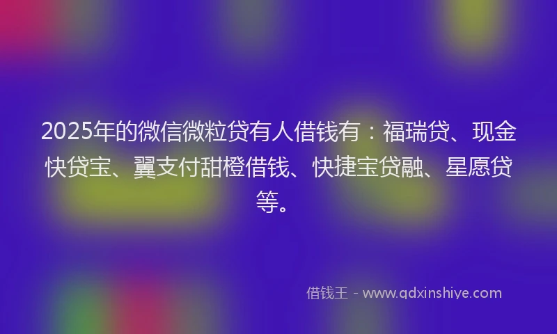 2025年的微信微粒贷有人借钱有：福瑞贷、现金快贷宝、翼支付甜橙借钱、快捷宝贷融、星愿贷等。