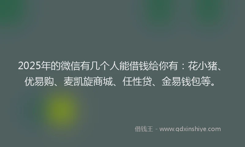 2025年的微信有几个人能借钱给你有：花小猪、优易购、麦凯旋商城、任性贷、金易钱包等。