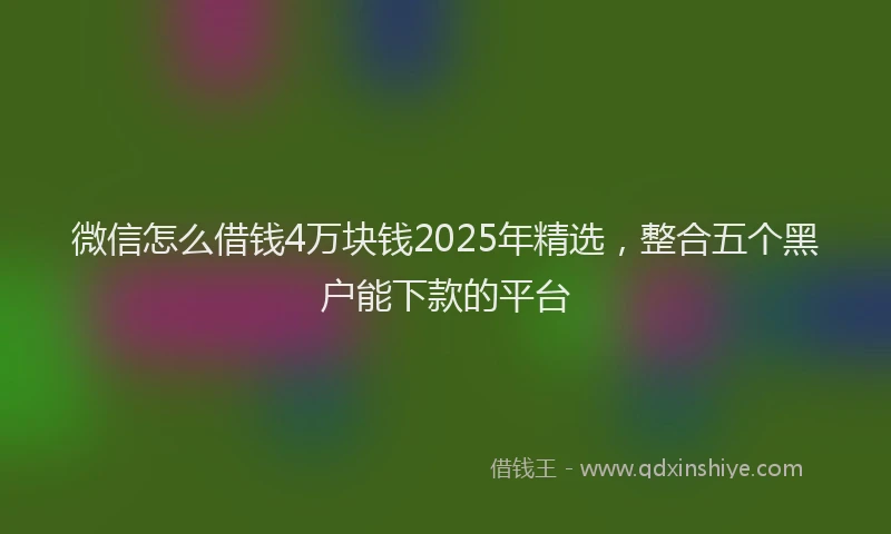 微信怎么借钱4万块钱2025年精选，整合五个黑户能下款的平台