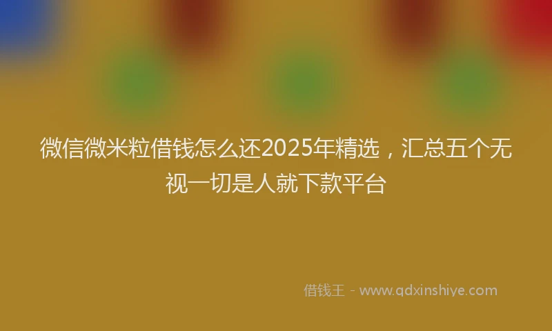 微信微米粒借钱怎么还2025年精选，汇总五个无视一切是人就下款平台