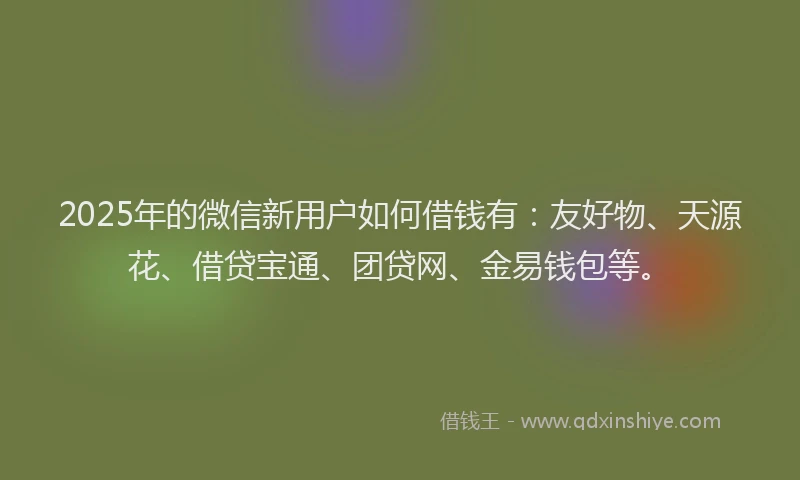 2025年的微信新用户如何借钱有：友好物、天源花、借贷宝通、团贷网、金易钱包等。