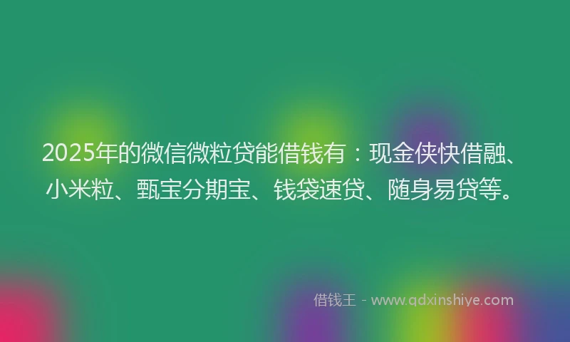 2025年的微信微粒贷能借钱有：现金侠快借融、小米粒、甄宝分期宝、钱袋速贷、随身易贷等。