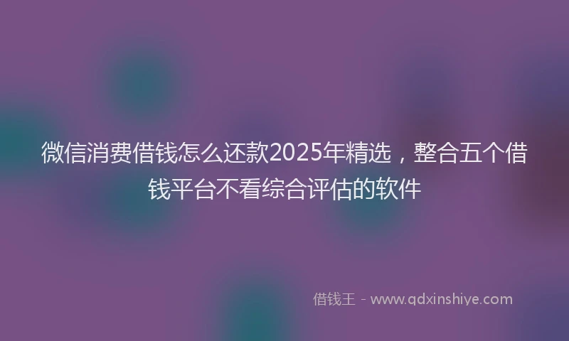 微信消费借钱怎么还款2025年精选，整合五个借钱平台不看综合评估的软件
