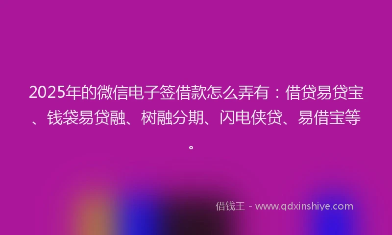 2025年的微信电子签借款怎么弄有：借贷易贷宝、钱袋易贷融、树融分期、闪电侠贷、易借宝等。