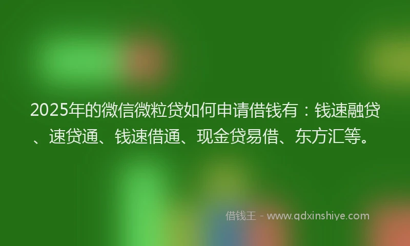 2025年的微信微粒贷如何申请借钱有：钱速融贷、速贷通、钱速借通、现金贷易借、东方汇等。