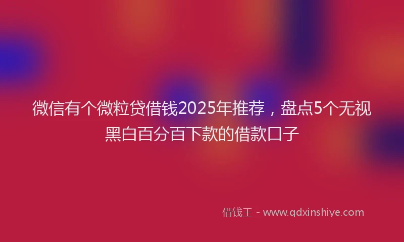 微信有个微粒贷借钱2025年推荐，盘点5个无视黑白百分百下款的借款口子