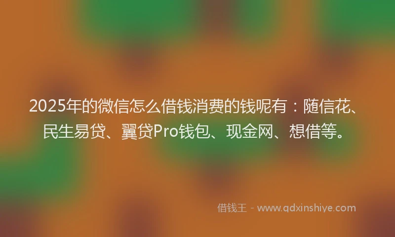 2025年的微信怎么借钱消费的钱呢有：随信花、民生易贷、翼贷Pro钱包、现金网、想借等。
