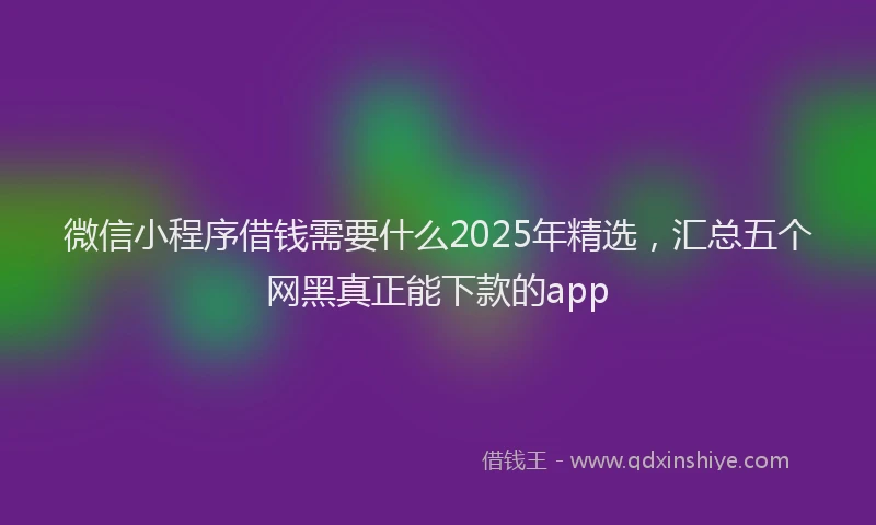 微信小程序借钱需要什么2025年精选，汇总五个网黑真正能下款的app