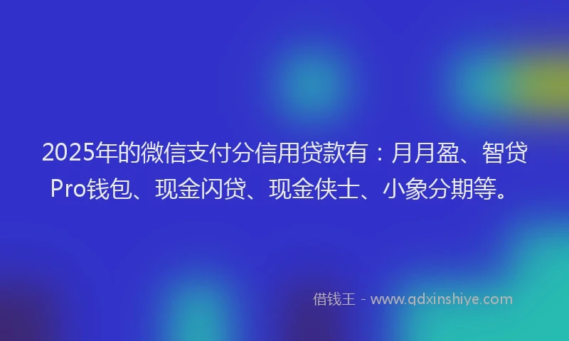 2025年的微信支付分信用贷款有：月月盈、智贷Pro钱包、现金闪贷、现金侠士、小象分期等。
