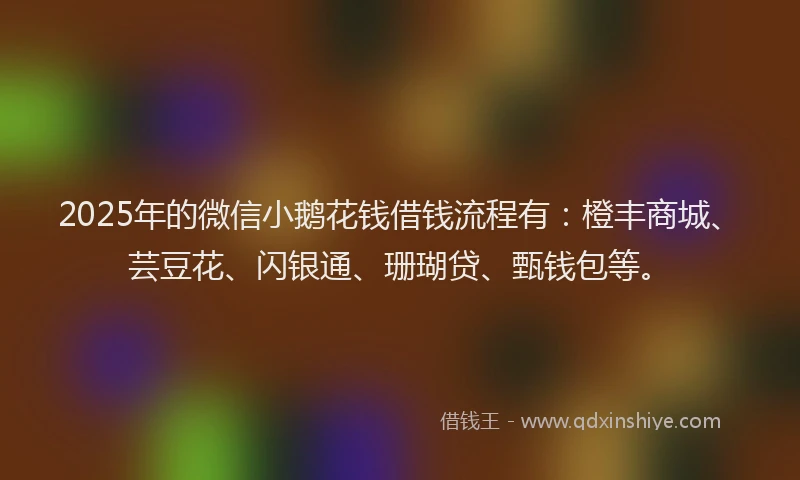 2025年的微信小鹅花钱借钱流程有：橙丰商城、芸豆花、闪银通、珊瑚贷、甄钱包等。