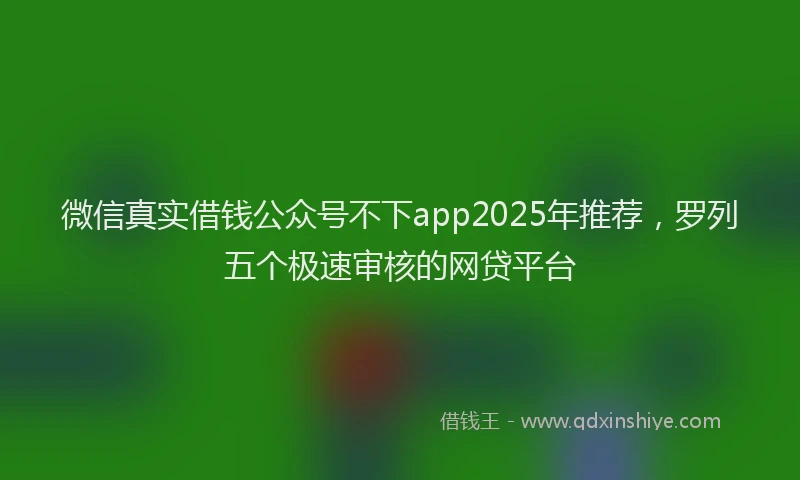 微信真实借钱公众号不下app2025年推荐，罗列五个极速审核的网贷平台