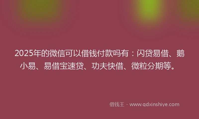 2025年的微信可以借钱付款吗有：闪贷易借、鹅小易、易借宝速贷、功夫快借、微粒分期等。
