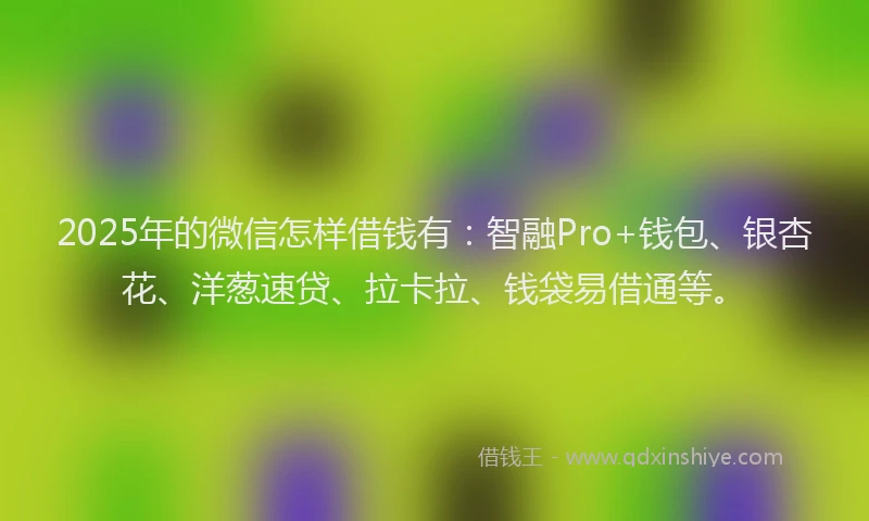 2025年的微信怎样借钱有：智融Pro+钱包、银杏花、洋葱速贷、拉卡拉、钱袋易借通等。