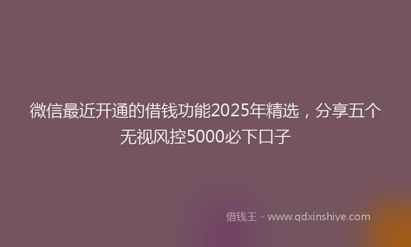 微信最近开通的借钱功能2025年精选，分享五个无视风控5000必下口子