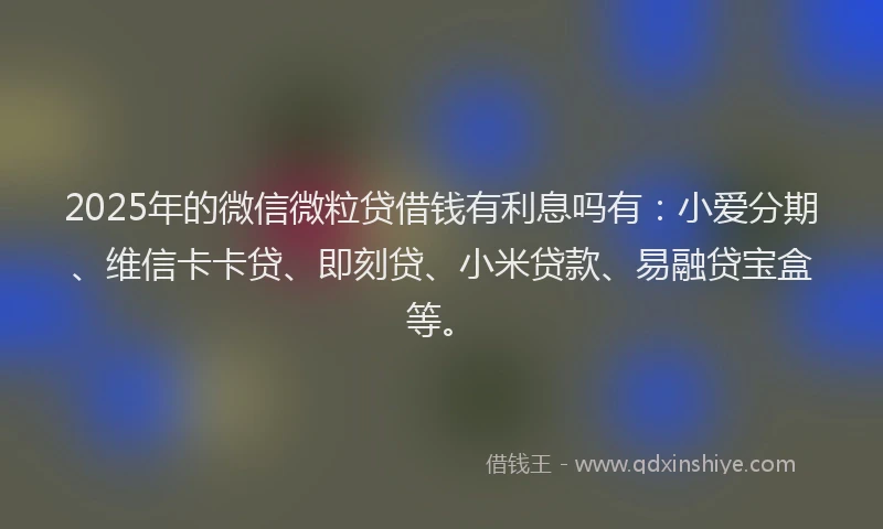 2025年的微信微粒贷借钱有利息吗有：小爱分期、维信卡卡贷、即刻贷、小米贷款、易融贷宝盒等。