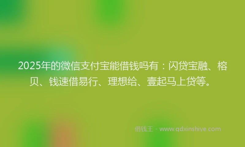 2025年的微信支付宝能借钱吗有：闪贷宝融、榕贝、钱速借易行、理想给、壹起马上贷等。