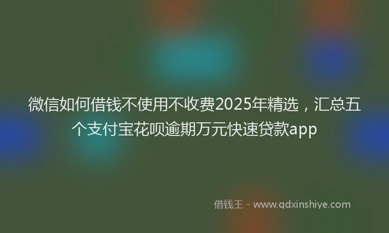 微信如何借钱不使用不收费2025年精选，汇总五个支付宝花呗逾期万元快速贷款app