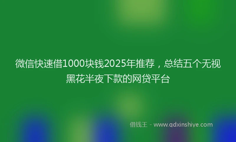 微信快速借1000块钱2025年推荐，总结五个无视黑花半夜下款的网贷平台