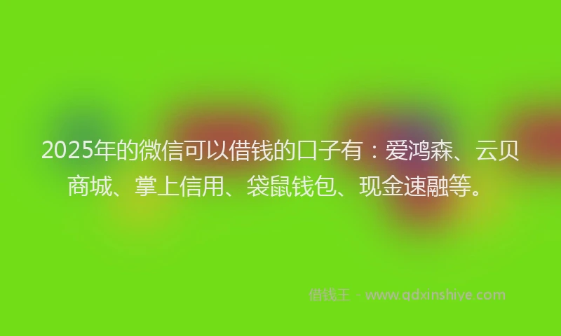 2025年的微信可以借钱的口子有：爱鸿森、云贝商城、掌上信用、袋鼠钱包、现金速融等。